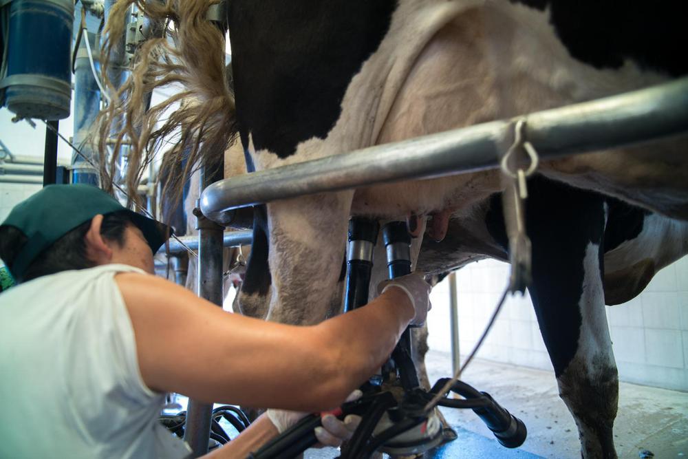 WhatsApp Image 2024-02-22 at 11.52.45