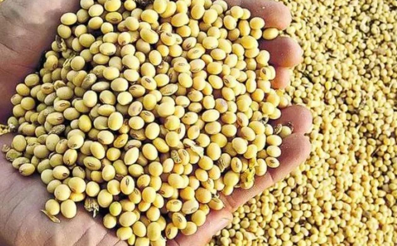 WhatsApp Image 2023-08-16 at 8.37.11 AM