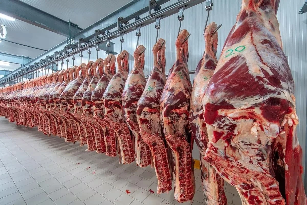 la-faena-registro-el-menor-nivel