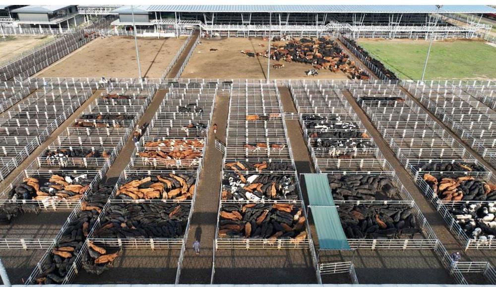 WhatsApp Image 2024-01-11 at 08.22.22