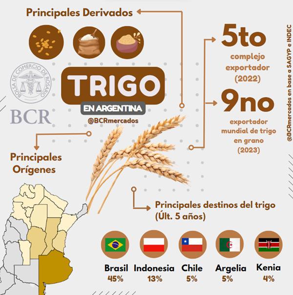 WhatsApp Image 2023-11-26 at 09.25.23