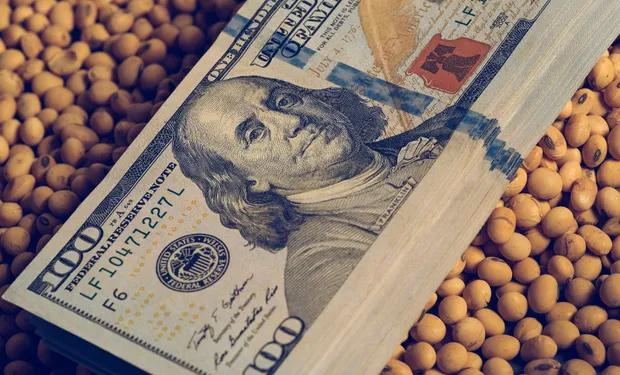dolar