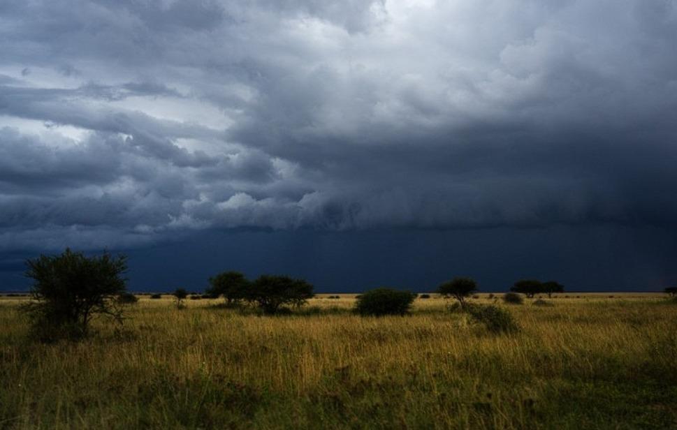 WhatsApp Image 2023-08-31 at 7.12.19 PM