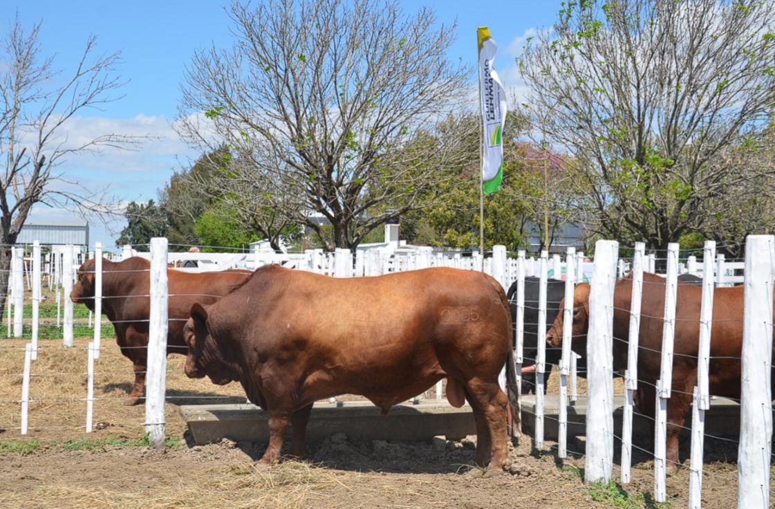 WhatsApp Image 2023-10-05 at 08.00.36