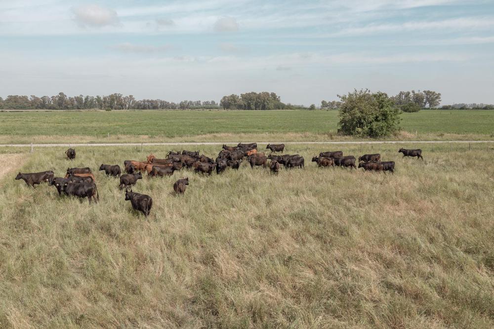 WhatsApp Image 2024-01-25 at 15.53.36