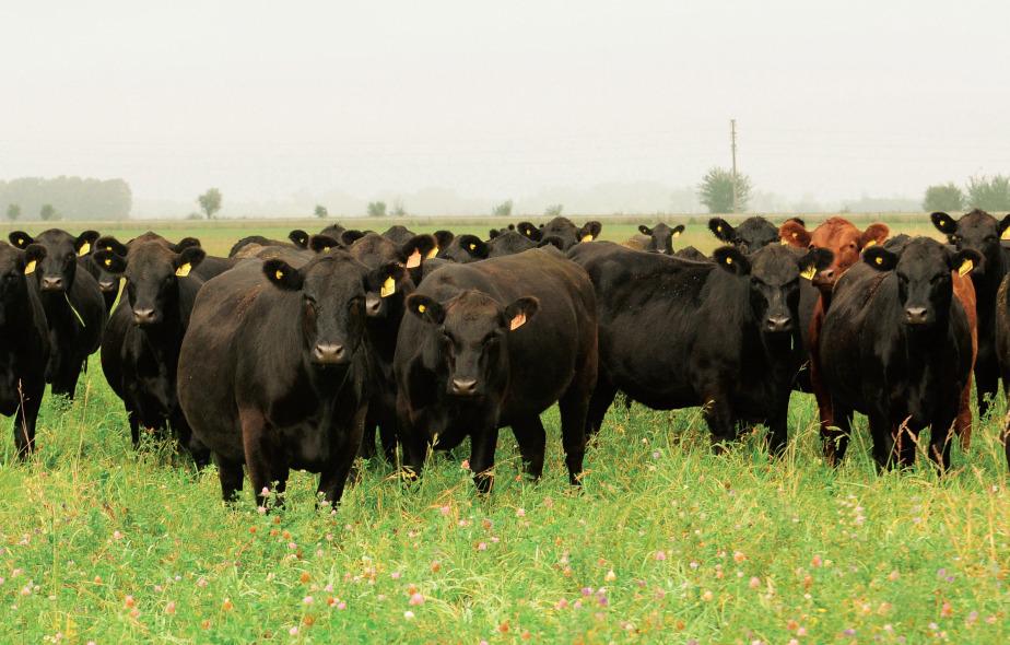 WhatsApp Image 2023-08-29 at 10.56.04 AM