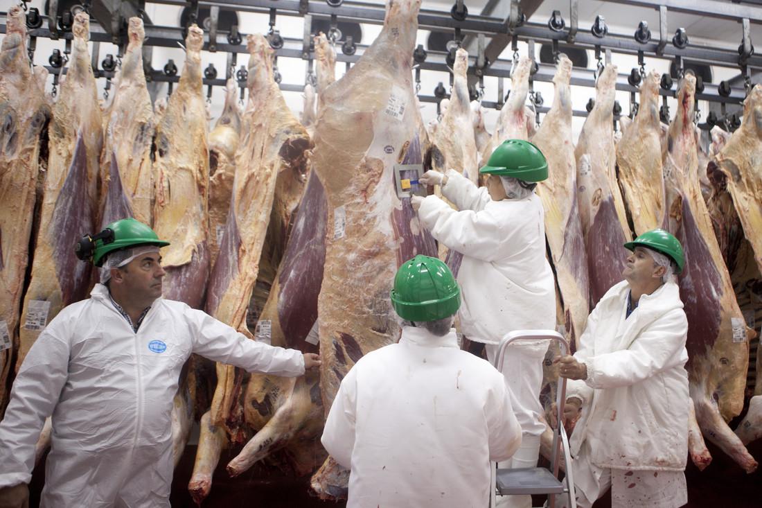 WhatsApp Image 2024-03-13 at 16.48.27