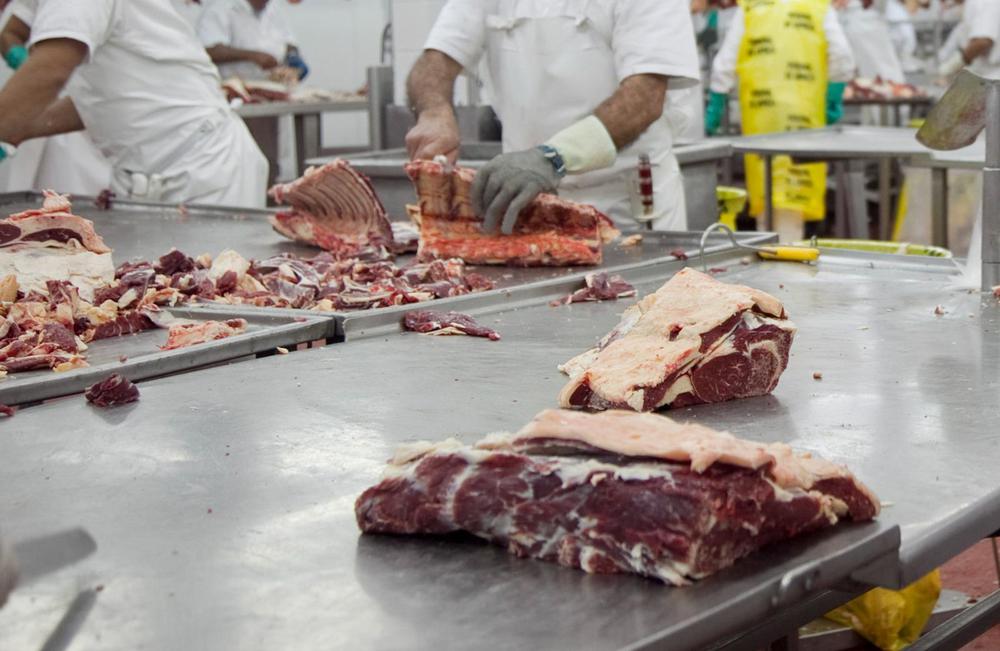 WhatsApp Image 2024-02-26 at 08.20.39